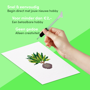 Mini-Meisterwerke – Zimmerpflanzen (12er-Set)