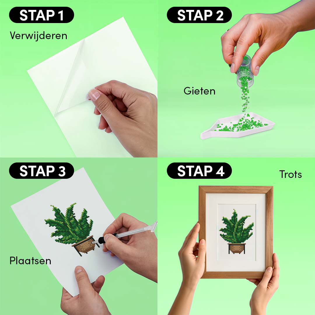 Mini-Meisterwerke – Zimmerpflanzen (12er-Set)