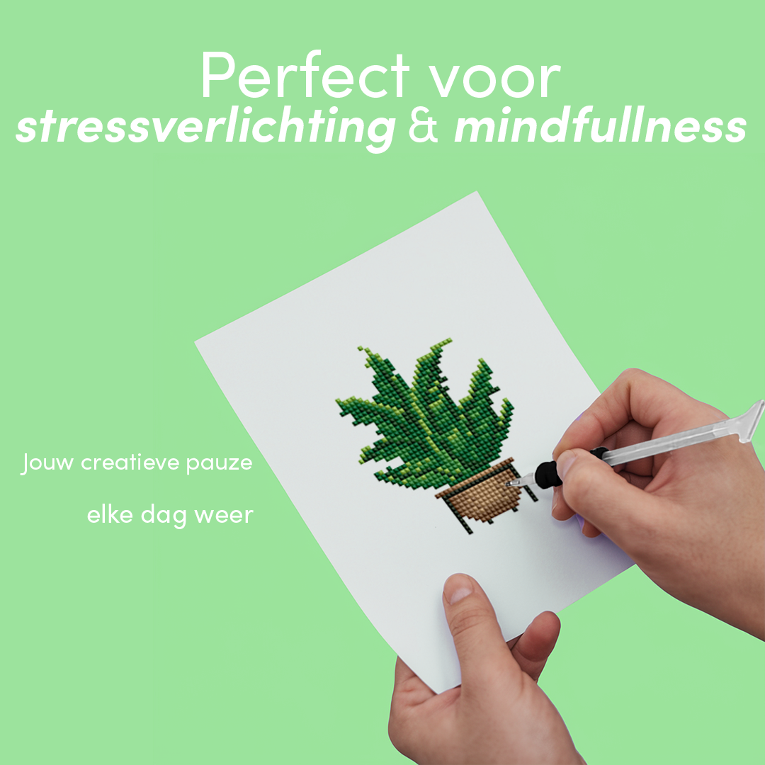 Mini-Meisterwerke – Zimmerpflanzen (12er-Set)