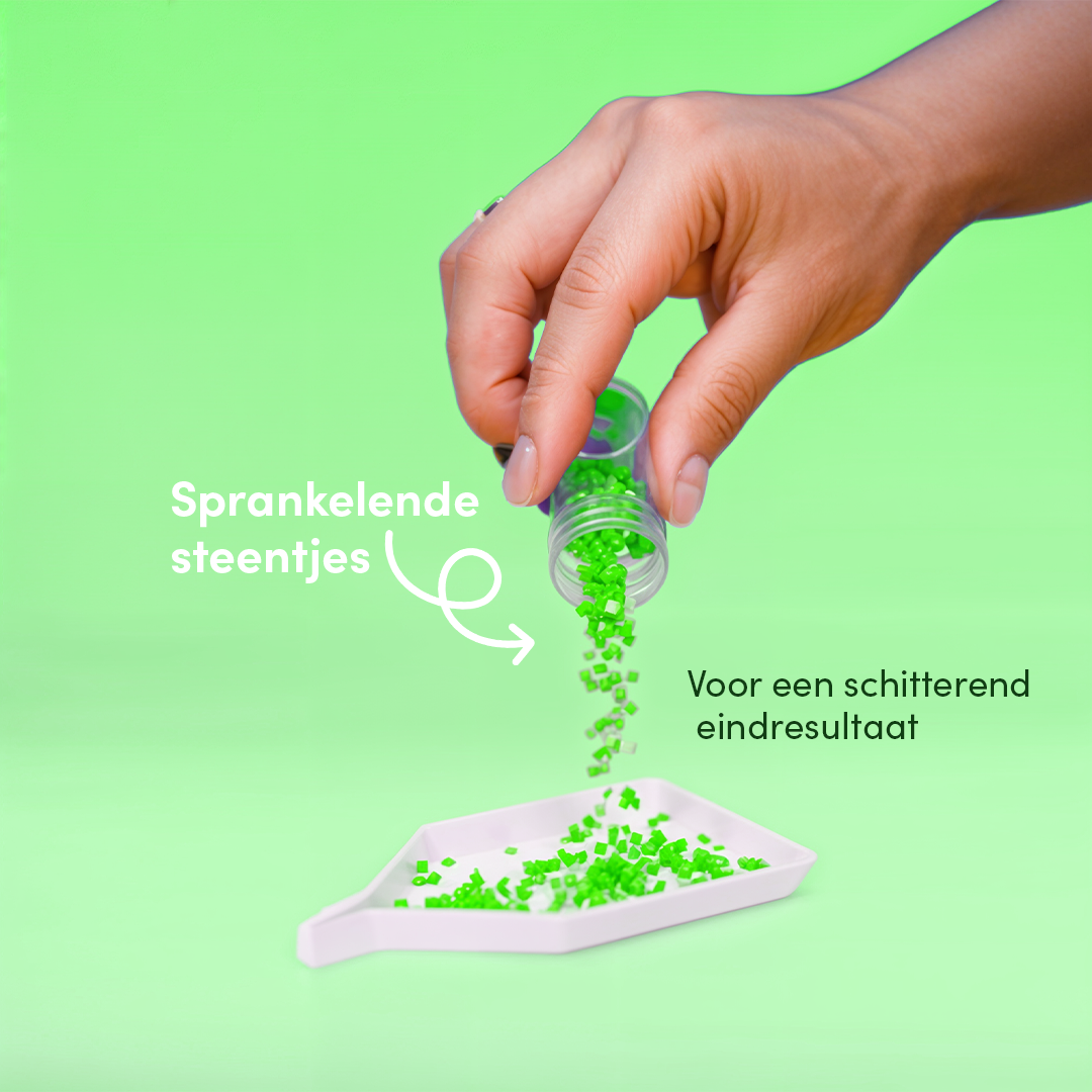 Mini-Meisterwerke – Zimmerpflanzen (12er-Set)