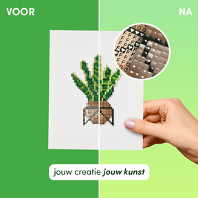 Mini-Meisterwerke – Zimmerpflanzen (12er-Set)