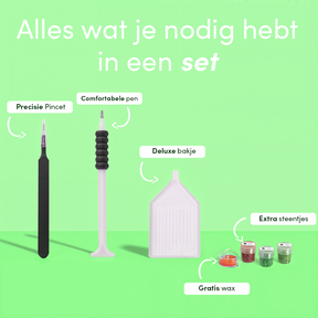 Mini-Meisterwerke – Zimmerpflanzen (12er-Set)