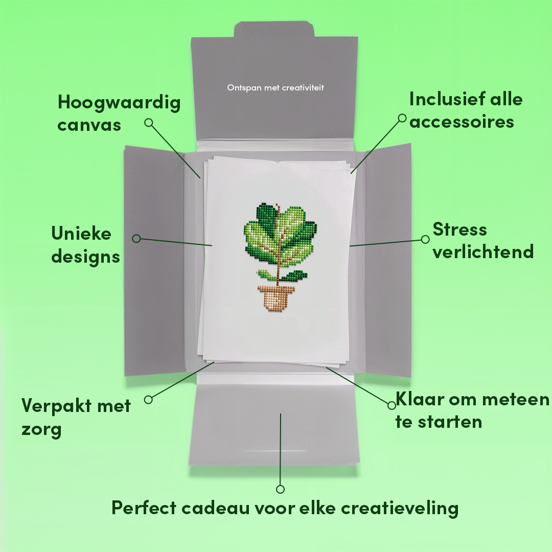 Mini-Meisterwerke – Zimmerpflanzen (12er-Set)
