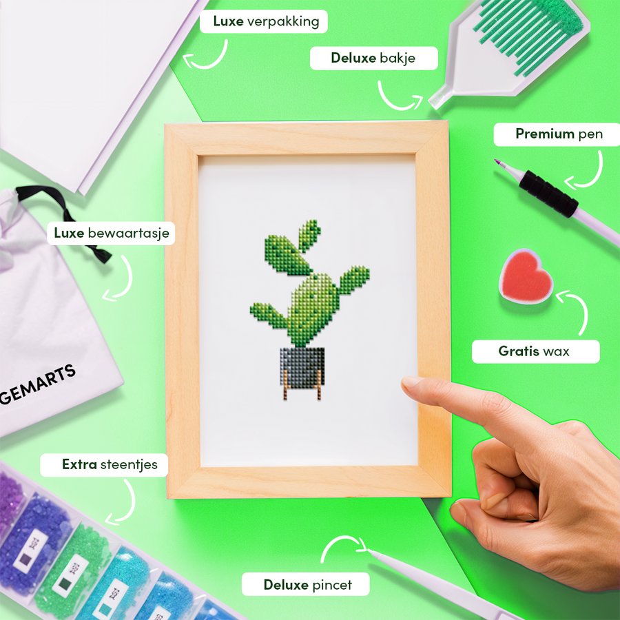 Mini-Meisterwerke – Zimmerpflanzen (12er-Set)