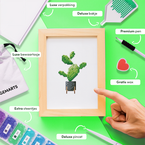 Mini-Meisterwerke – Zimmerpflanzen (12er-Set)