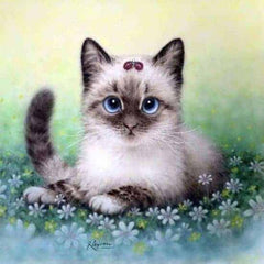 Diamond Painting Paket Katze - SEOS Shop ®