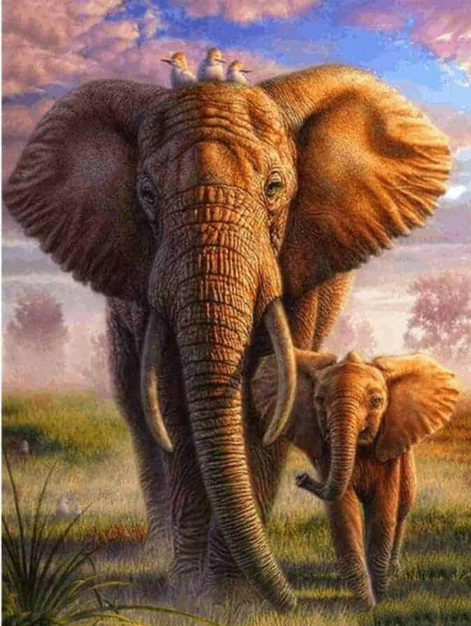 Diamond Painting Bunter Safari-Elefant - SEOS Shop ®