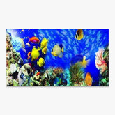 Schöner Fisch | Große Größe - Seos SHOP