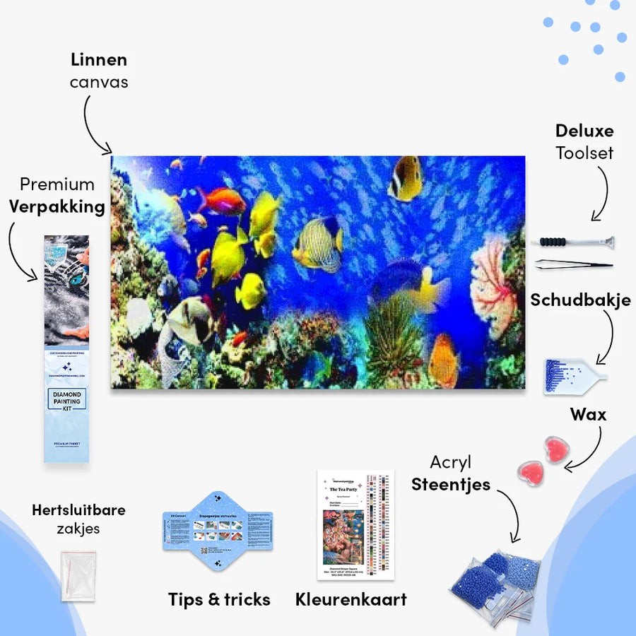 Schöne Fische | Großes Format - SEOS SHOP
