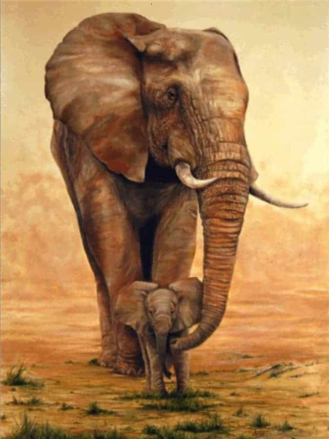 Diamantmalerei Elefant mit Kalb in der Savanne - SEOS Shop ®
