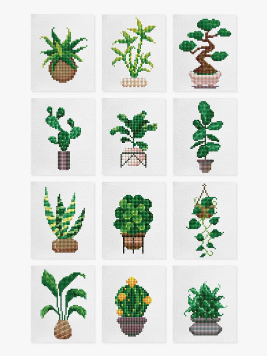 Mini-Meisterwerke – Zimmerpflanzen 2.0 (12er-Set)