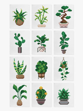 Mini-Meisterwerke – Zimmerpflanzen 2.0 (12er-Set)