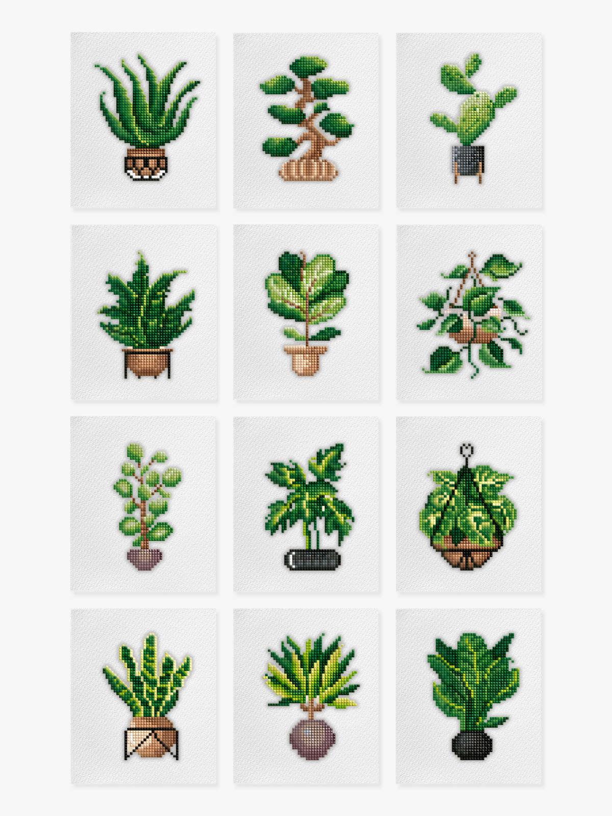 Mini-Meisterwerke – Zimmerpflanzen (12er-Set)