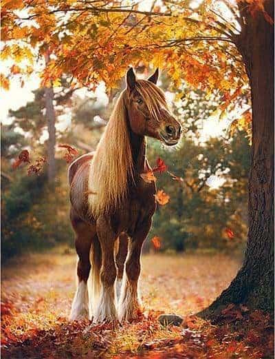 Diamantmalerei Pferd unter Baum - SEOS Shop ®