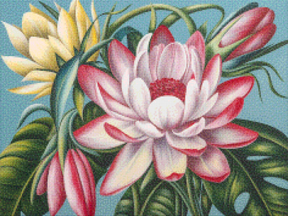 Diamantmalerei - Paradiesblüte