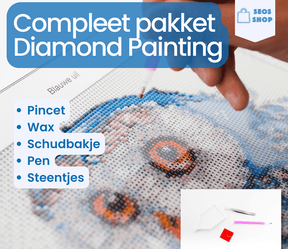 Diamond Painting Zubehörpaket 12-teilig - SEOS Shop®