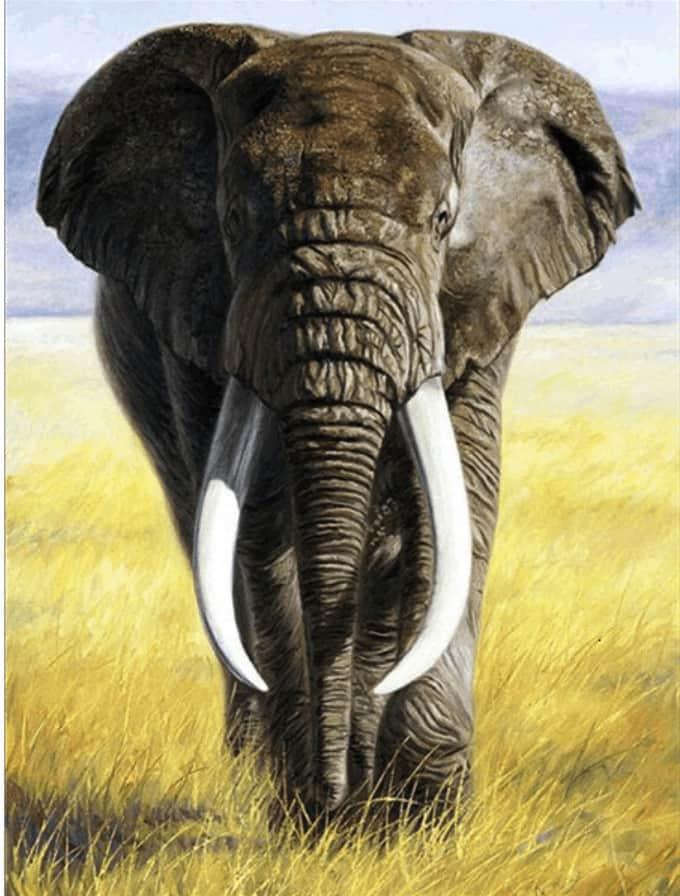 Diamond Painting Safari Elefant mit Stoßzähnen - SEOS Shop ®