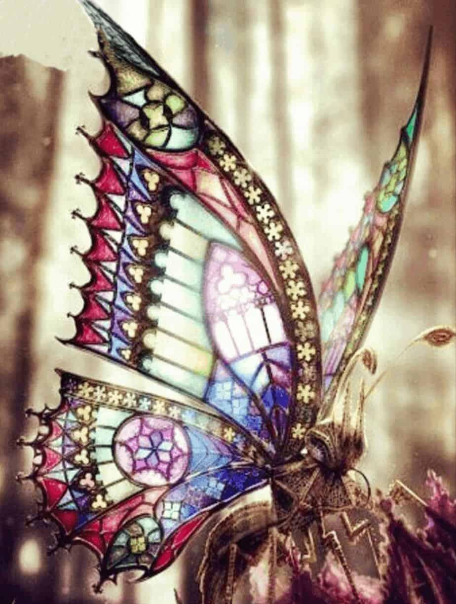 Diamantmalerei Schöner Schmetterling in der Sonne - SEOS Shop ®