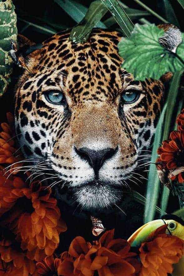 Diamantmalerei Tiger im Dschungel - SEOS Shop ®