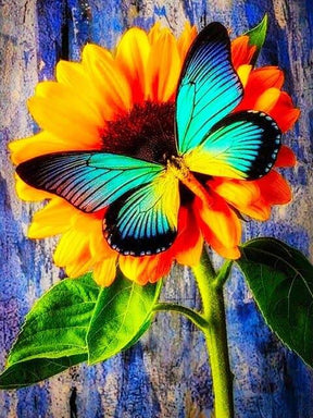 Diamantmalerei Schmetterling mit Sonnenblume - SEOS Shop ®