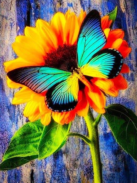 Diamantmalerei Schmetterling mit Sonnenblume - SEOS Shop ®