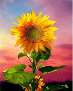 Diamantmalerei - Sonnenblume im Feld - SEOS Shop ® 