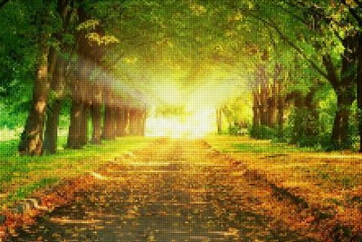 Natuur