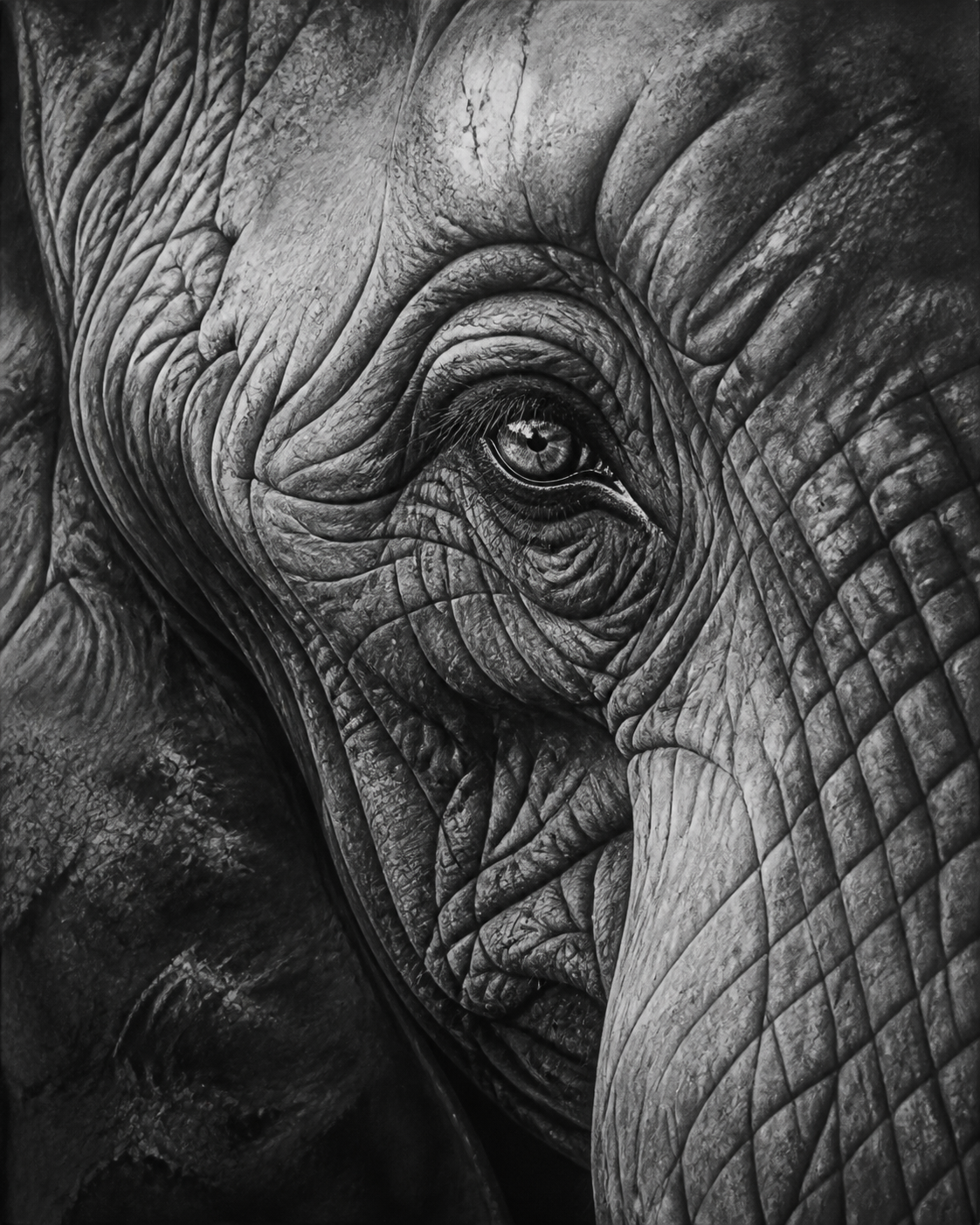 Diamond Painting Olifantenoog Zwart Wit – volledig zwart-witontwerp