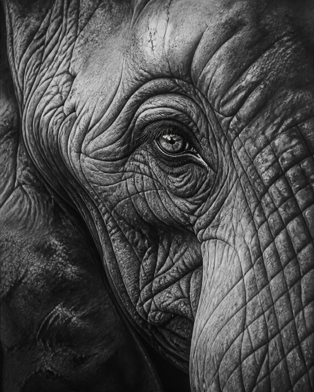 Diamond Painting Olifantenoog Zwart Wit – volledig zwart-witontwerp