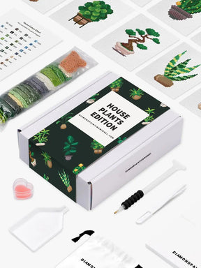 Mini-Meisterwerke – Zimmerpflanzen 2.0 (12er-Set)