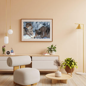 Diamantmalerei – Friedliche Grautöne: Fesselnder Wolf