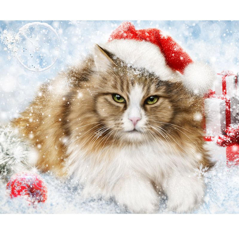 diamond painting - kat – afbeelding 1