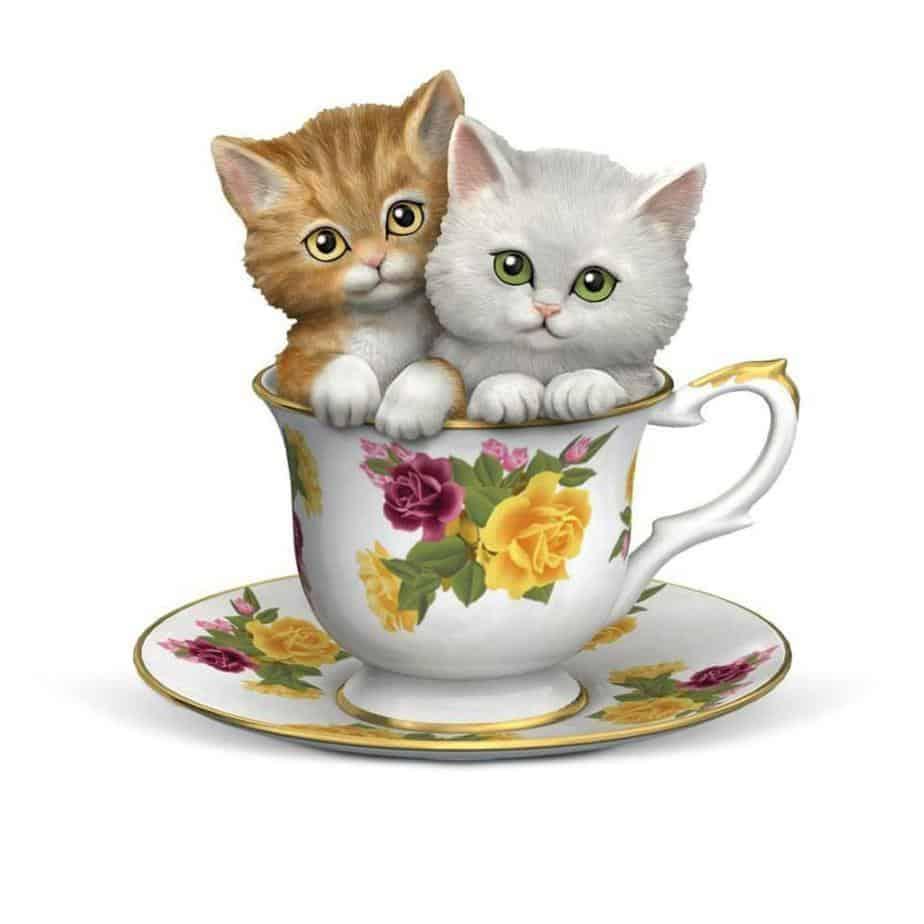 Diamantmalerei Kätzchen in einer Teetasse - SEOS Shop ®