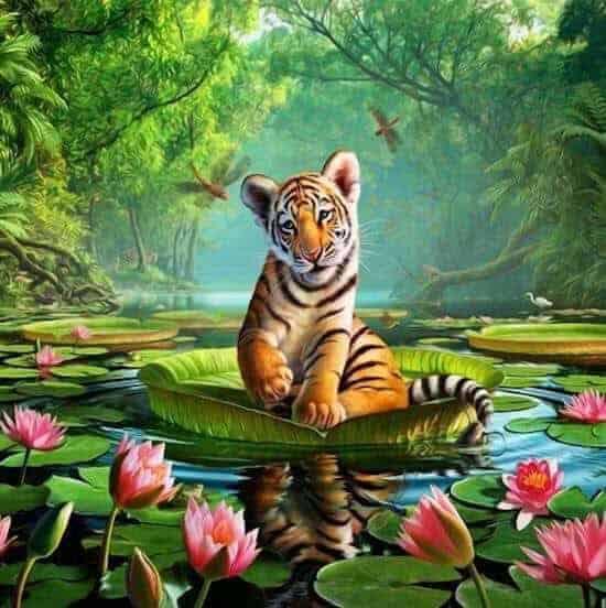 Diamond painting Tiger auf einer Wasserlilie - Vollständig - SEOS Shop®