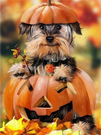 Diamond Painting Yorkshire Terrier - SEOS Shop ®