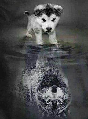 Diamantmalerei Wolfsjunges im Spiegelbild – SEOS Shop ®